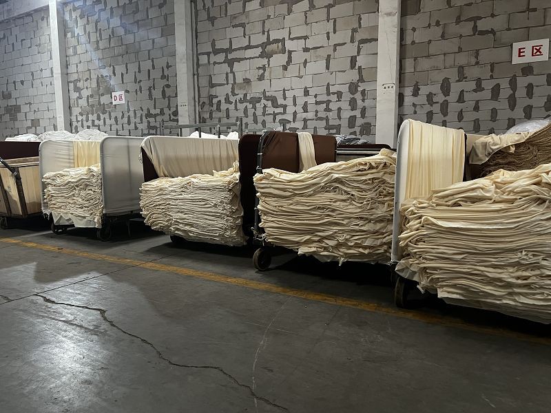 IMG4625001 IMG4625001