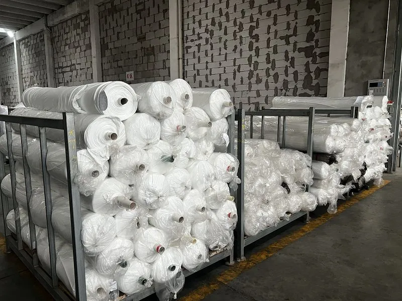 IMG4628001 IMG4628001